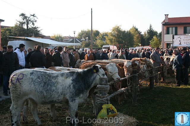 In prà della Antica Fiera di Arsego (16).JPG